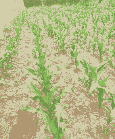 玉米种植土壤多厚