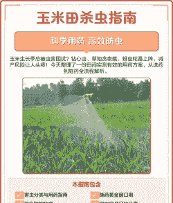 玉米种植技术与防虫