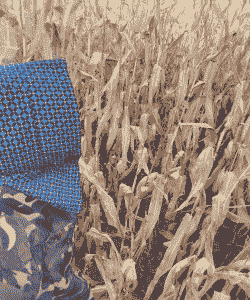 乌审旗玉米种植量多少