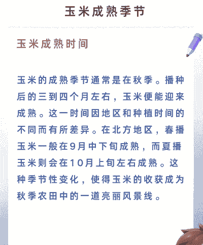 玉米种植几年成熟