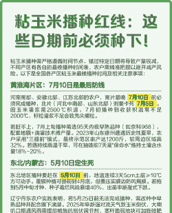 夏季粘玉米种植时间