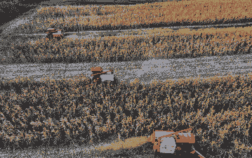 湖北襄阳玉米种植面积