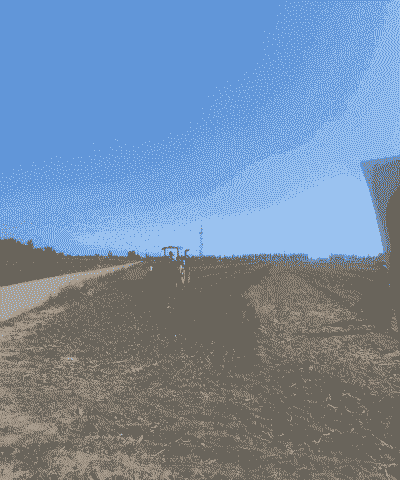 早上种玉米种植技术