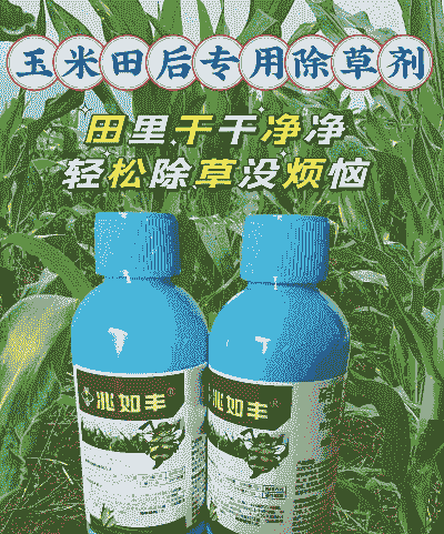 玉米种植各阶段用药