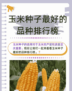 玉米种植好品种排名