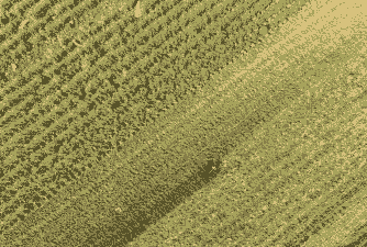 贵州农业玉米种植面积