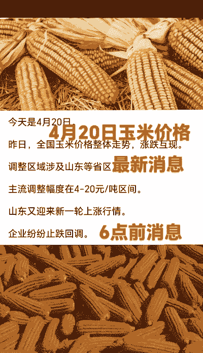 开荒玉米种植价格如何