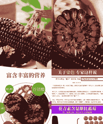 黑糯玉米种植效益