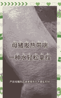 母猪产后气喘这u治