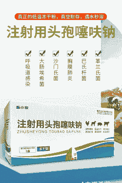 母猪产后消炎什么药好