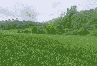 隆阳区本地玉米种植面积