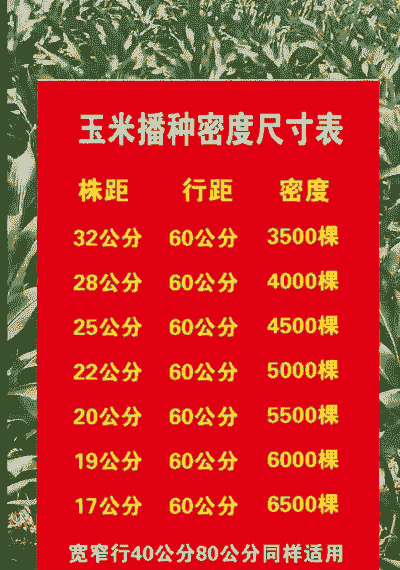 惠东玉米种植面积多大