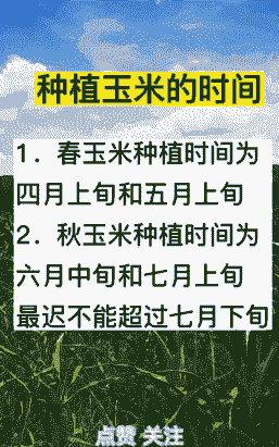 河北沧州玉米种植时间