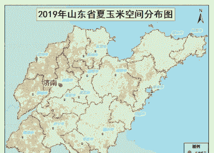 山东地区玉米种植分布
