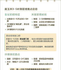玉米种植最佳时间夏播