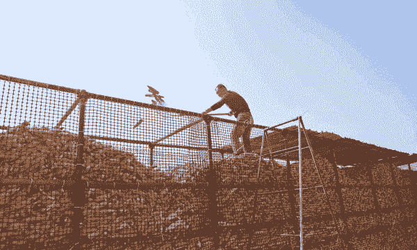 玉米种植大户怎么晾晒