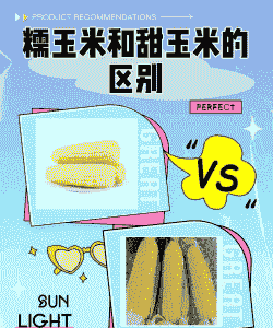 甜玉米和黏玉米种植区别