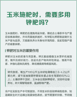 玉米种植用多少钾肥好