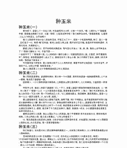 玉米种植报道文章怎么写