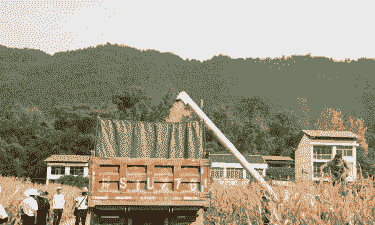 宣汉玉米种植面积多大了