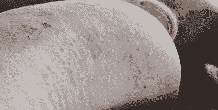 母猪产后身体皮肤发红