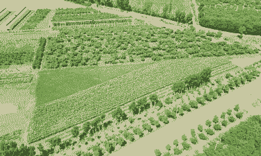 顺义玉米种植地区有哪些