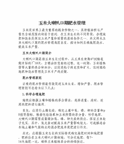 玉米种植的水肥管理措施