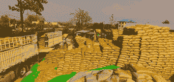 缅甸玉米种植效益如何啊