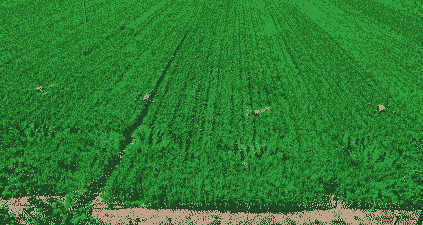 孟津县玉米种植面积