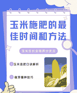 玉米种植多久追肥合适呢