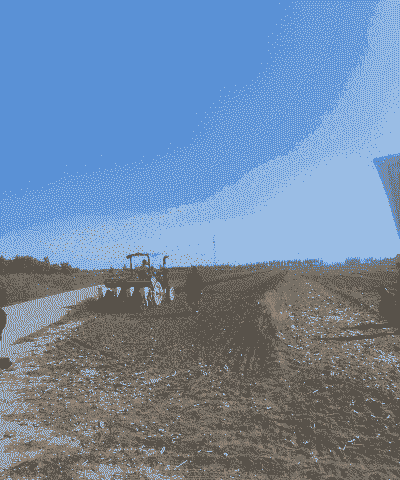 武乡县玉米种植面积