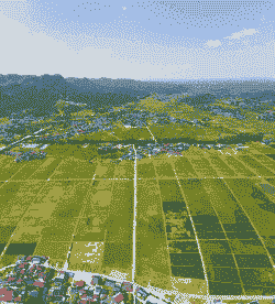 长沙县玉米种植地点