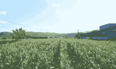 云南省玉米种植大县