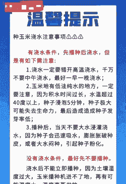 玉米种植对天气的要求