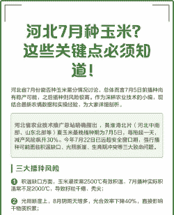 河北适合种玉米种植吗