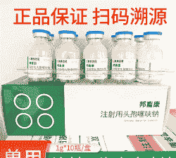 母猪产后打头孢用几支