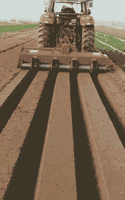 玉米种植用起垄么