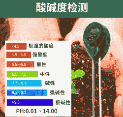 玉米种植对土壤的ph