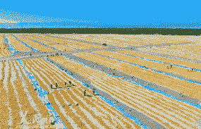 玉米种植甘肃多少亩面积