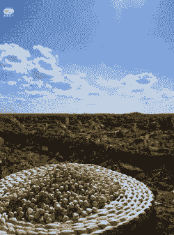 人工种植玉米种子