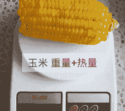 福建玉米种植温度是多少