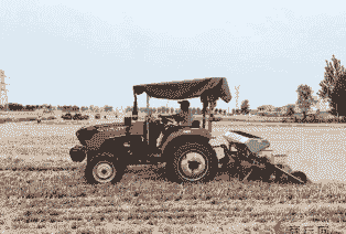 民权县玉米种植面积