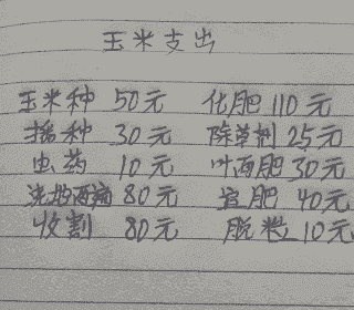 玉米种子种植成本表