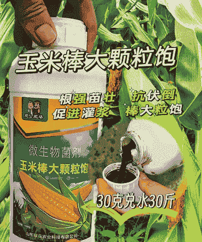 玉米种植需放肥料吗