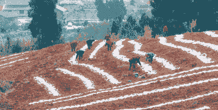 安岳县玉米种植面积