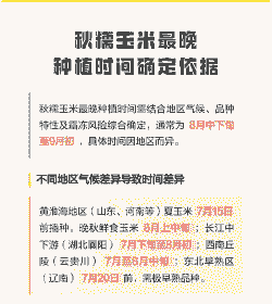 秋季玉米种植时间表