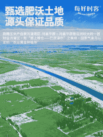 河套地区的玉米种植面积