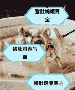 母猪产后可以喝鸡汤吗