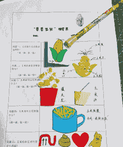 玉米种植调研怎么调研的