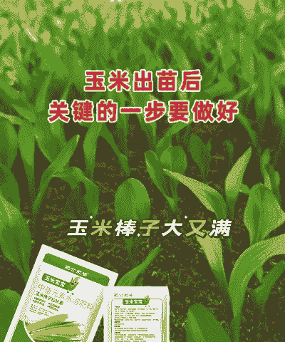 玉米种植施几次肥料好些